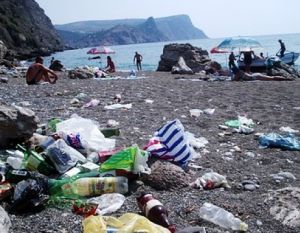 На пляжах в Приморье за неубранный мусор предлагают наказывать рублем